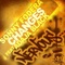 Changes (Robbie Taylor Mix) - Sonny Fodera lyrics