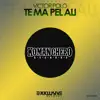 Stream & download Te Ma Pel Ali - Single