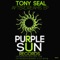 After Dreams (Gabriel Slick Remix) - Tony Seal lyrics