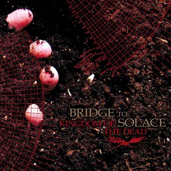 Cover artwork for Believe