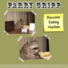 Raccoon Eating Nachos - Single