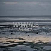 Animalia - EP artwork