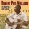 Pardon Denied Again - Robert Pete Williams lyrics