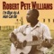 Two Wings - Robert Pete Williams lyrics