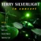 Sparks (feat. Barry Miles, Will Lee & David Mann) - Terry Silverlight lyrics