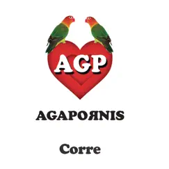 Corre - Single by Agapornis album reviews, ratings, credits