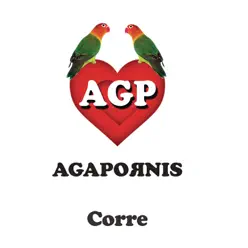 Corre - Single - Agapornis