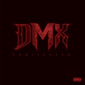 DMX - Slippin Again