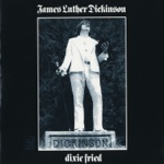 James Luther Dickinson - Wine (LP Version)