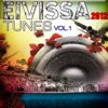 Eivissa Tunes 2012, Vol. 1 (One Night in Ibiza)