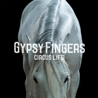GypsyFingers - Circus Life artwork