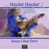 Haydar Haydar artwork