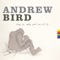 The Sad Milkman - Andrew Bird lyrics