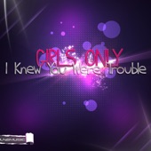 I Knew You Were Trouble (DRM Remix) artwork