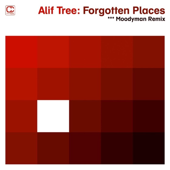 Cover artwork for Forgotten Places