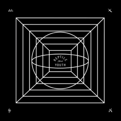 Reptile Youth - Morning Sun