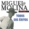 Miguel de Molina - Compuesto y Sin Novia