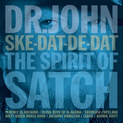 SKE-DAT-DE-DAT - THE SPIRIT OF SATCH cover art