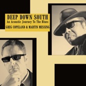 Deep Down South, an Acoustic Journey to the Blues