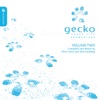 Gecko Beach Club Formentera, Vol. 2 (Compiled and Mixed By Chris Coco and Pete Gooding), 2013