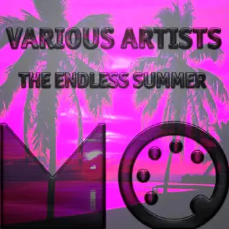 The Endless Summer by Various Artists album reviews, ratings, credits