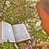 Jenn Henry - 1 Corinthians 6:20