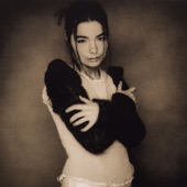 Björk - Human Behaviour