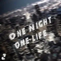 One Night One Life, Vol. 2 by Various Artists album reviews, ratings, credits
