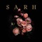 Welcome to Sarh artwork
