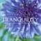 Classics for Tranquility, Pt. 5 - Peter Samuels lyrics