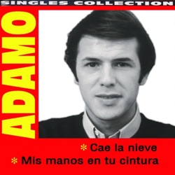 Adamo - Un Mechon de Tu Cabello