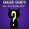 Where Could My Kitty Cat Be - Parry Gripp lyrics