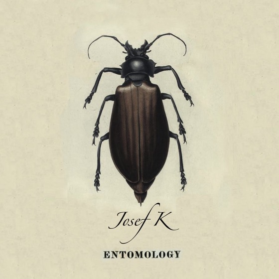 Cover artwork for Drone