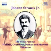 Strauss: 100 Most Famous Works Vol.6