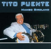 Mambo Birdland (Live)