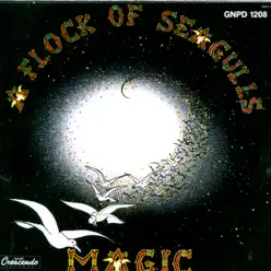 Magic - A Flock Of Seagulls