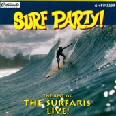 The Surfaris - Dick Dale Medley: Let's Go Trippin/Surf Beat/Misirlou (Live)