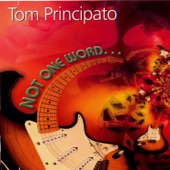 Tom Principato - Slippin' Into Darkness