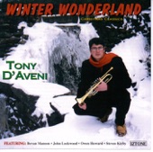 Tony D'aveni - Chestnuts Roasting On an Open Fire