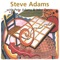 Tempting fate - Steve Adams lyrics