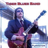 Tiger Blues Band - I'll Play the Blues for You