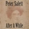 I Fly So High - Peter Salett lyrics