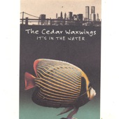 The Cedar Waxwings - Cherry Grey
