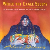 While the Eagle Sleeps artwork