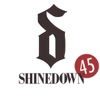 Shinedown - 45 (Acoustic Version)
