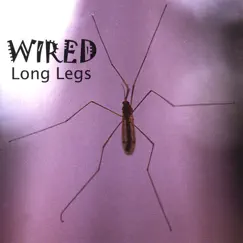Long Legs Song Lyrics
