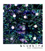 Bluebird - Shiny Twitches