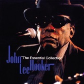 John Lee Hooker - One Bourbon, One Scotch, One Beer