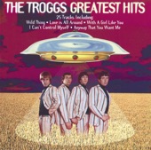 The Troggs - Love Is All Around