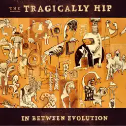 In Between Evolution - Tragically Hip